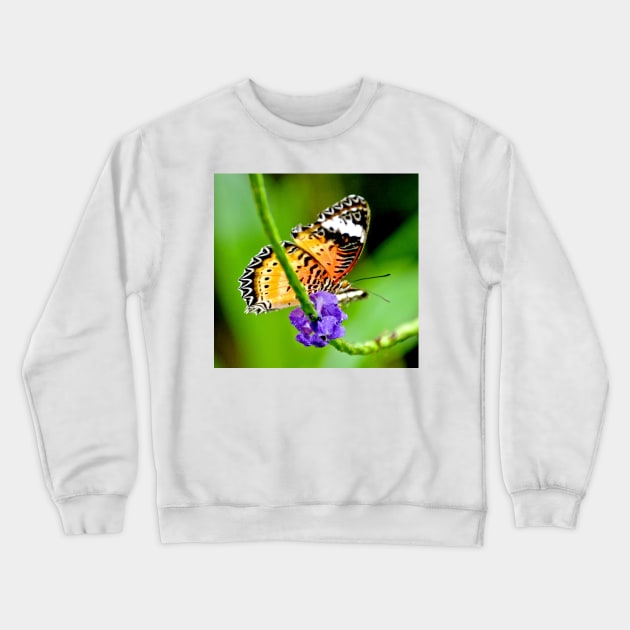 Common Lacewing Butterfly Crewneck Sweatshirt by Scubagirlamy